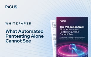 What Automated Pentesting Alone Cannot See