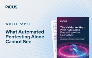 What Automated Pentesting Alone Cannot See