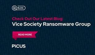 Vice Society Ransomware Group