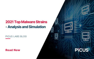 2021 Top Malware Strains - Analysis and Simulation