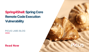 Spring4Shell: Spring Core Remote Code Execution Vulnerability