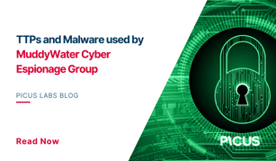 TTPs and Malware used by MuddyWater Cyber Espionage Group