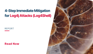 4-Step Quick Mitigation Plan for Log4j Attacks