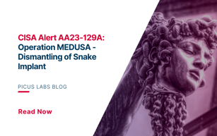 CISA Alert AA23-129A: Operation MEDUSA - Dismantling of Snake Implant