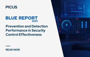 blue-report