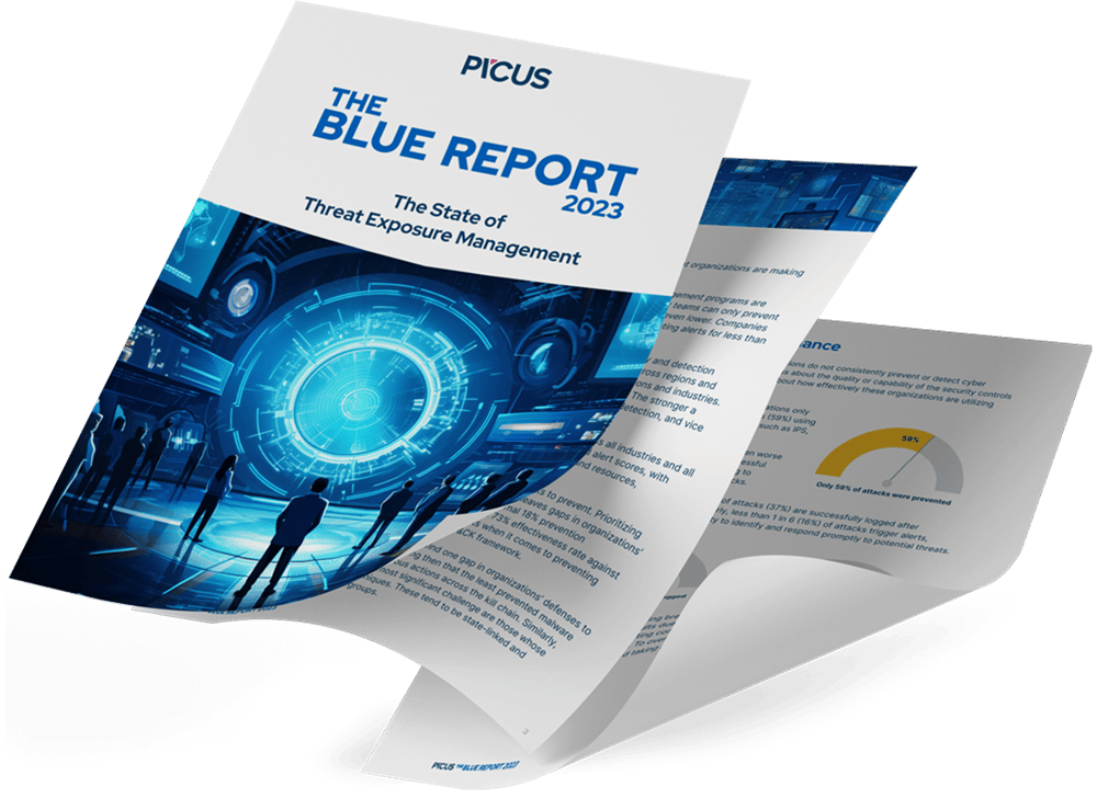 Blue Report 2025