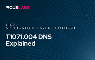 T1071.004 DNS in MITRE ATT&CK Explained