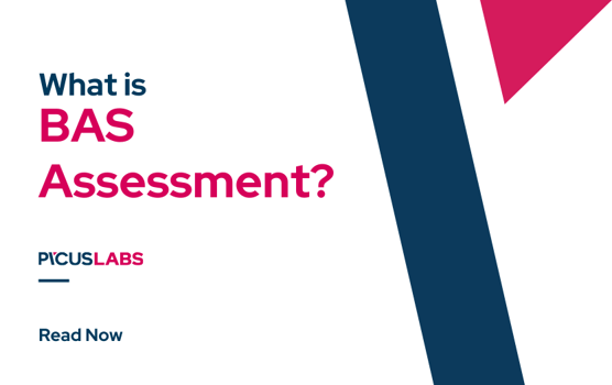 What Is a BAS Assessment?