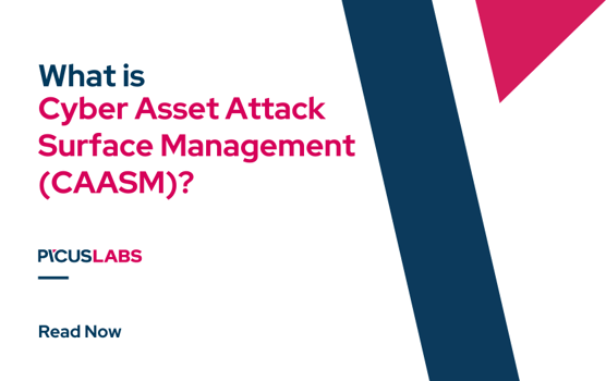 What Is Cyber Asset Attack Surface Management (CAASM)?