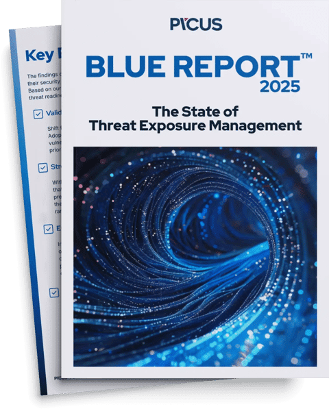 Blue Report 2025