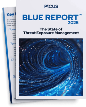 blue report 2025
