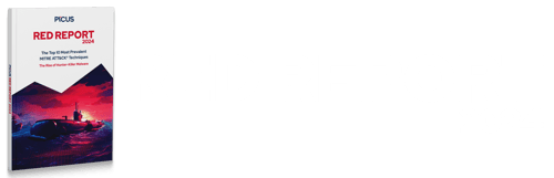 red-report-2024