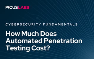 How Much Does Automated Penetration Testing Cost?
