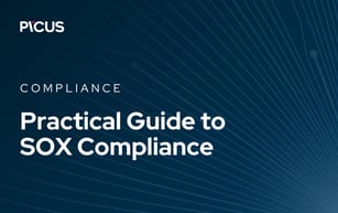 A Practical Guide to SOX Compliance Using Picus