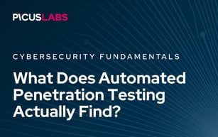 What Does Automated Penetration Testing Actually Find?