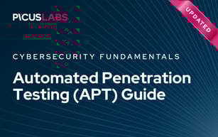Automated Penetration Testing (APT) Guide