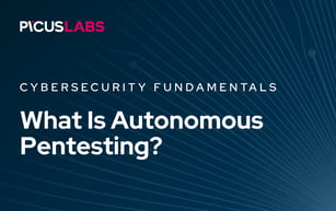 What Is Autonomous Pentesting?