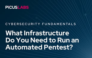 What Infrastructure Do You Need to Run an Automated Pentest?