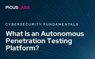 What Is an Autonomous Penetration Testing Platform?