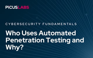 Who Uses Automated Penetration Testing?