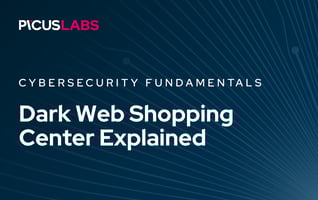Dark Web Shopping Center Explained