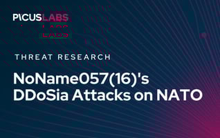 How NoName057(16) Uses DDoSia to Attack NATO Targets