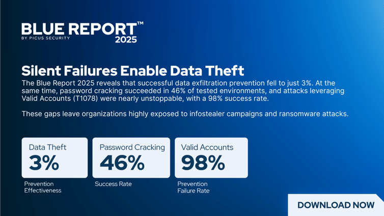 Blue-report-2025