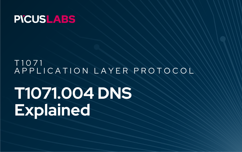 T1071.004 DNS in MITRE ATT&CK Explained