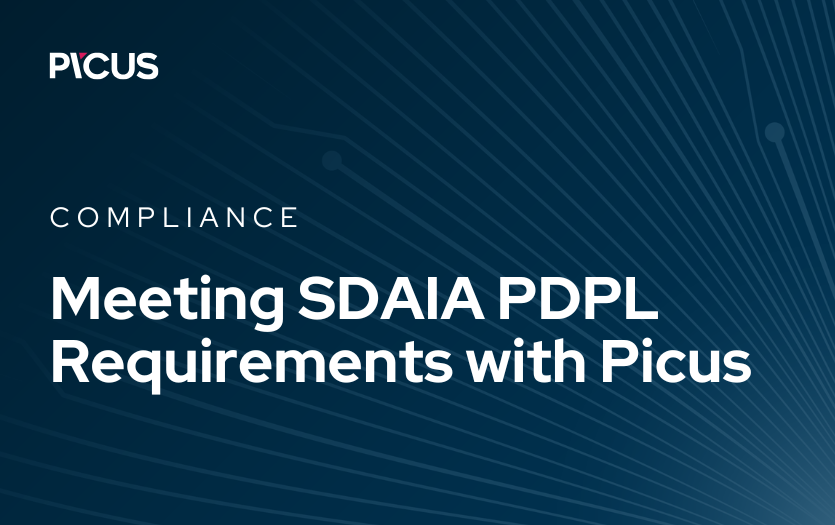 Meeting SDAIA PDPL Requirements with Picus Platform